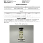 Blend 450 Gold 4vqhgt 150x150